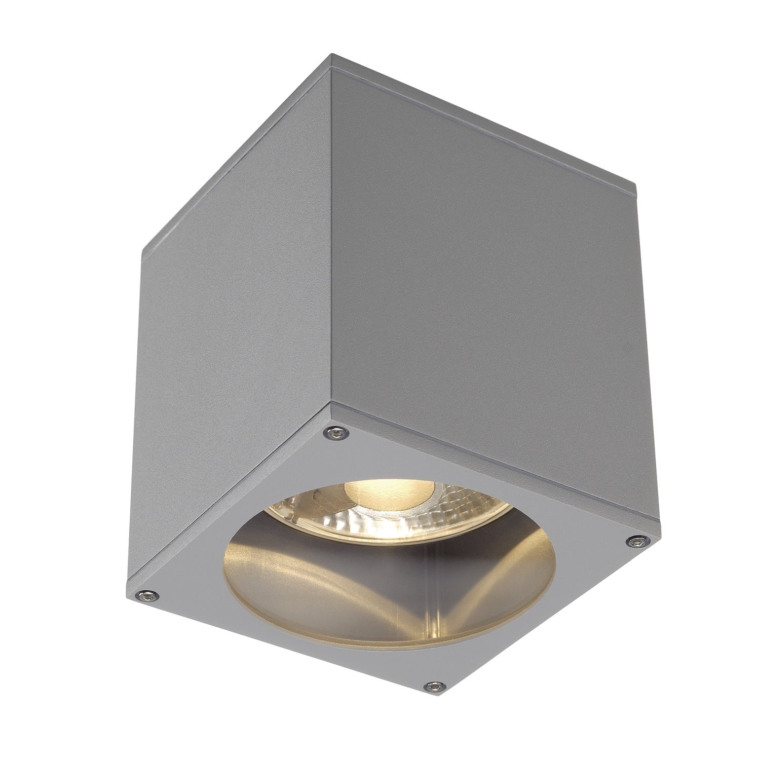 Big Theo Outdoor Ceiling Light QPAR111 IP44 Square Silver-Grey SLV Lighting