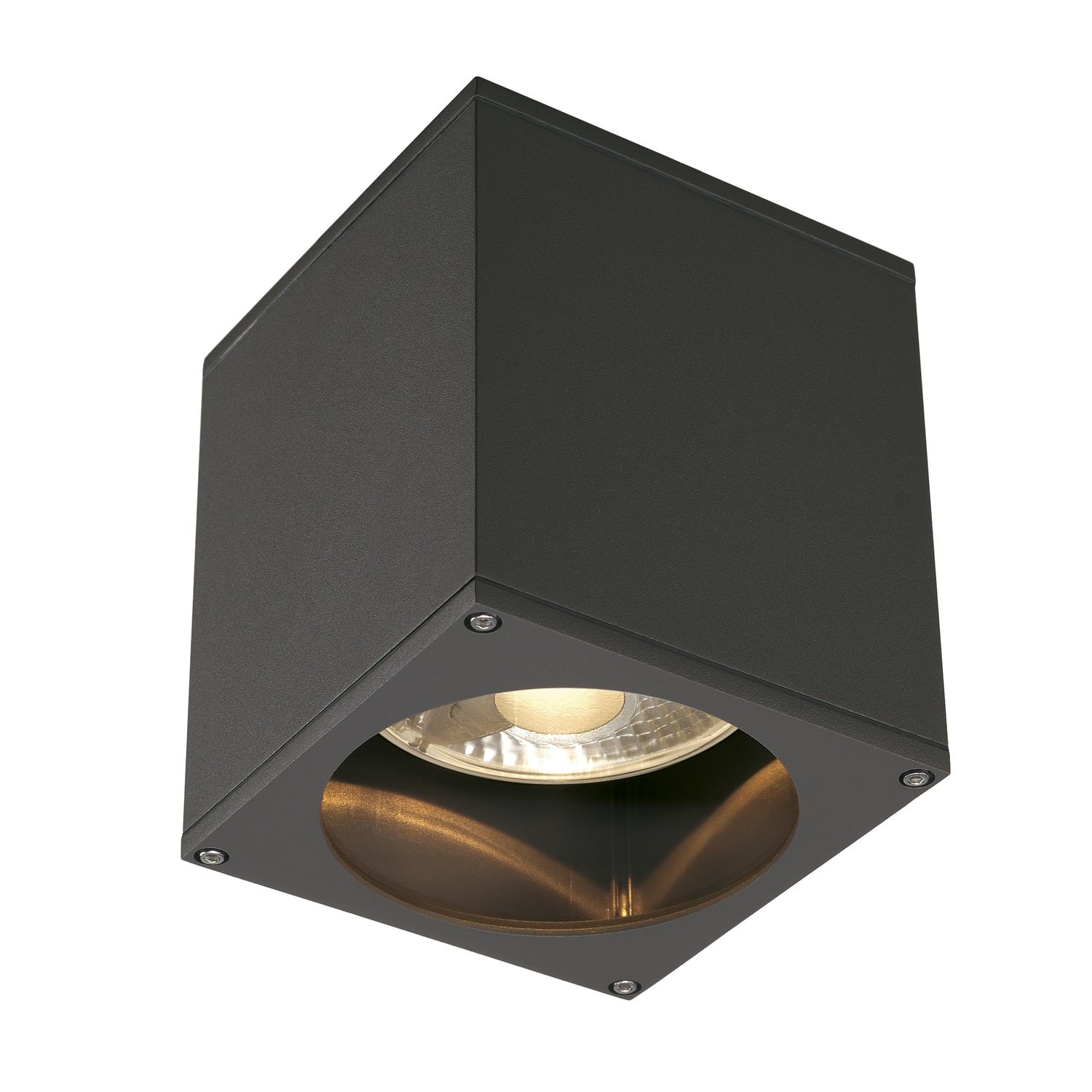 Big Theo Outdoor Ceiling Light QPAR111 IP44 Square Anthracite SLV Lighting